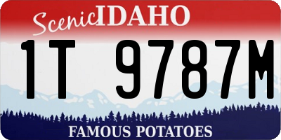 ID license plate 1T9787M