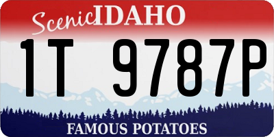ID license plate 1T9787P