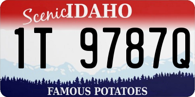 ID license plate 1T9787Q