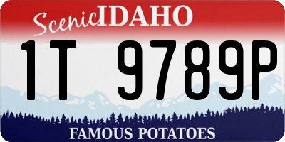 ID license plate 1T9789P