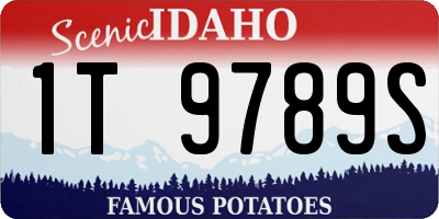 ID license plate 1T9789S
