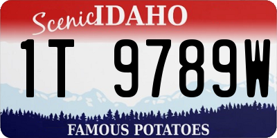 ID license plate 1T9789W