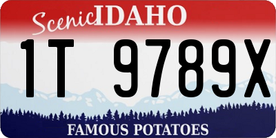 ID license plate 1T9789X
