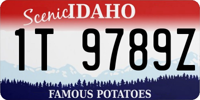ID license plate 1T9789Z
