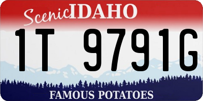 ID license plate 1T9791G
