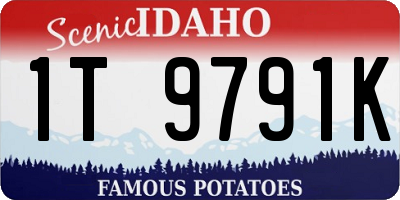 ID license plate 1T9791K