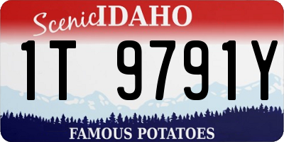 ID license plate 1T9791Y