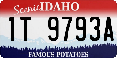 ID license plate 1T9793A