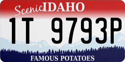 ID license plate 1T9793P