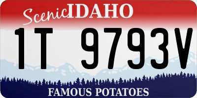 ID license plate 1T9793V