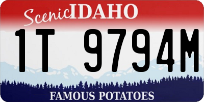 ID license plate 1T9794M