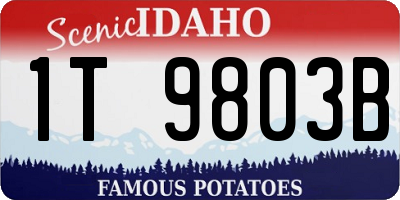 ID license plate 1T9803B