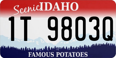 ID license plate 1T9803Q