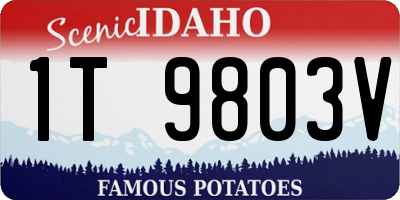 ID license plate 1T9803V