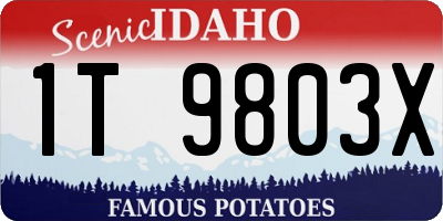 ID license plate 1T9803X
