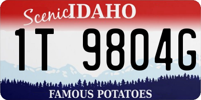 ID license plate 1T9804G