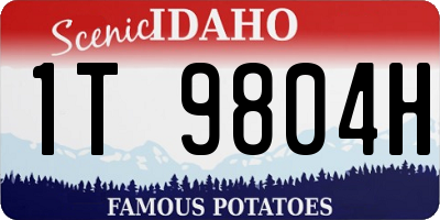 ID license plate 1T9804H