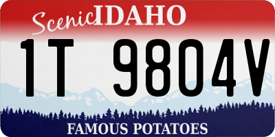 ID license plate 1T9804V
