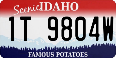 ID license plate 1T9804W