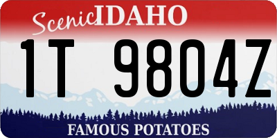 ID license plate 1T9804Z