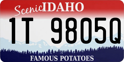 ID license plate 1T9805Q
