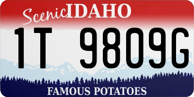 ID license plate 1T9809G