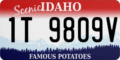ID license plate 1T9809V
