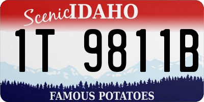 ID license plate 1T9811B
