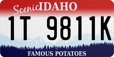 ID license plate 1T9811K