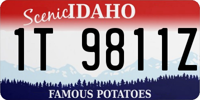 ID license plate 1T9811Z