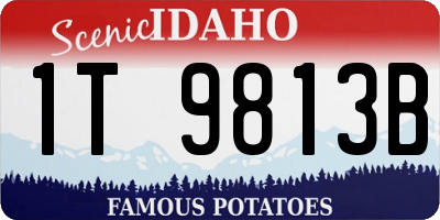 ID license plate 1T9813B
