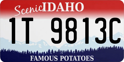 ID license plate 1T9813C