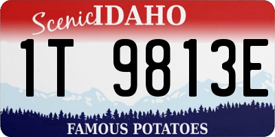 ID license plate 1T9813E