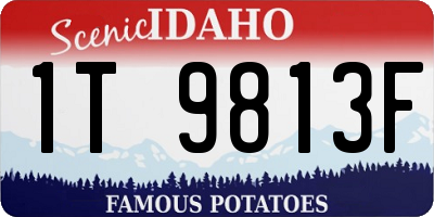 ID license plate 1T9813F