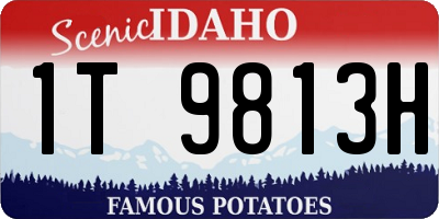 ID license plate 1T9813H
