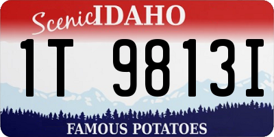 ID license plate 1T9813I