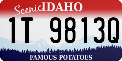 ID license plate 1T9813Q