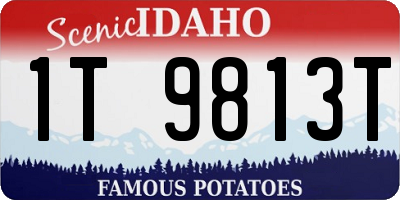 ID license plate 1T9813T