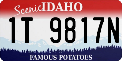 ID license plate 1T9817N