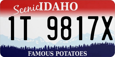 ID license plate 1T9817X