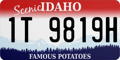 ID license plate 1T9819H