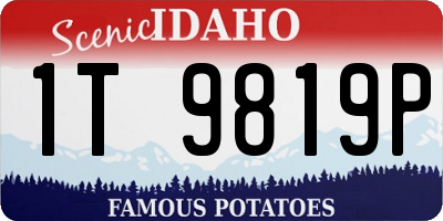 ID license plate 1T9819P