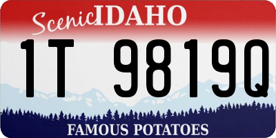 ID license plate 1T9819Q
