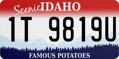 ID license plate 1T9819U