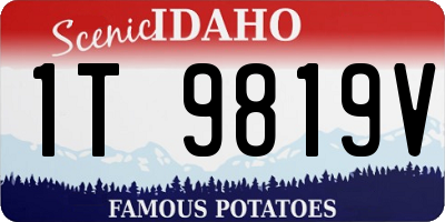 ID license plate 1T9819V