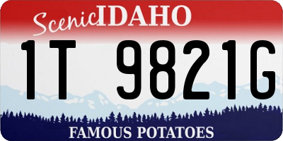 ID license plate 1T9821G