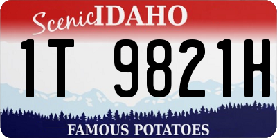 ID license plate 1T9821H