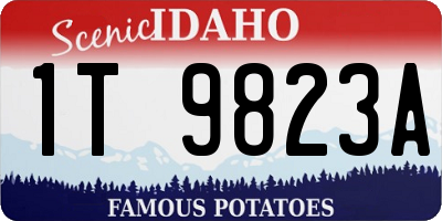ID license plate 1T9823A