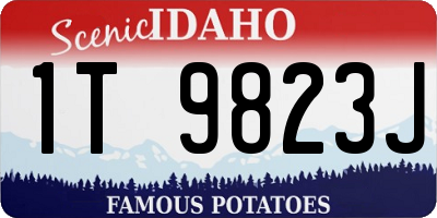 ID license plate 1T9823J
