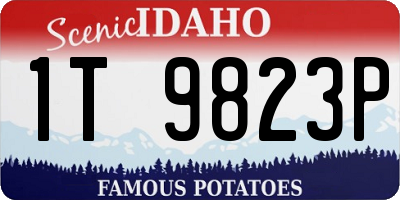 ID license plate 1T9823P